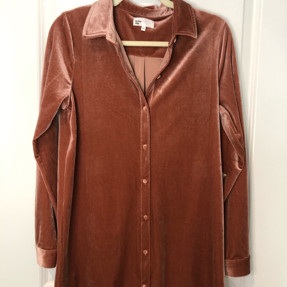 Revolve velvet tunic dress